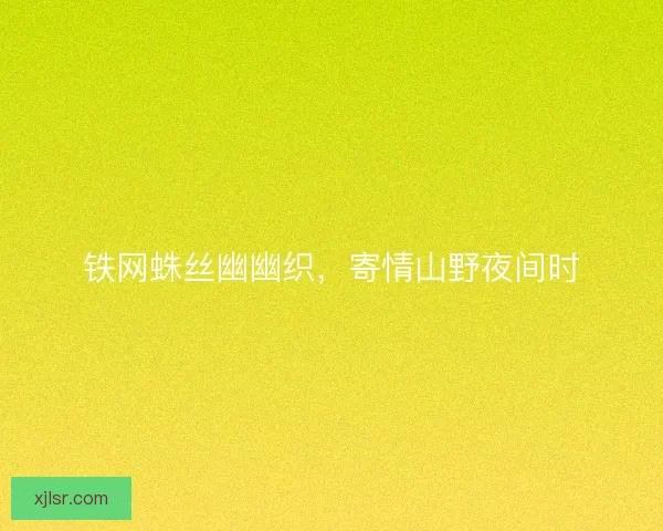 铁网蛛丝幽幽织，寄情山野夜间时